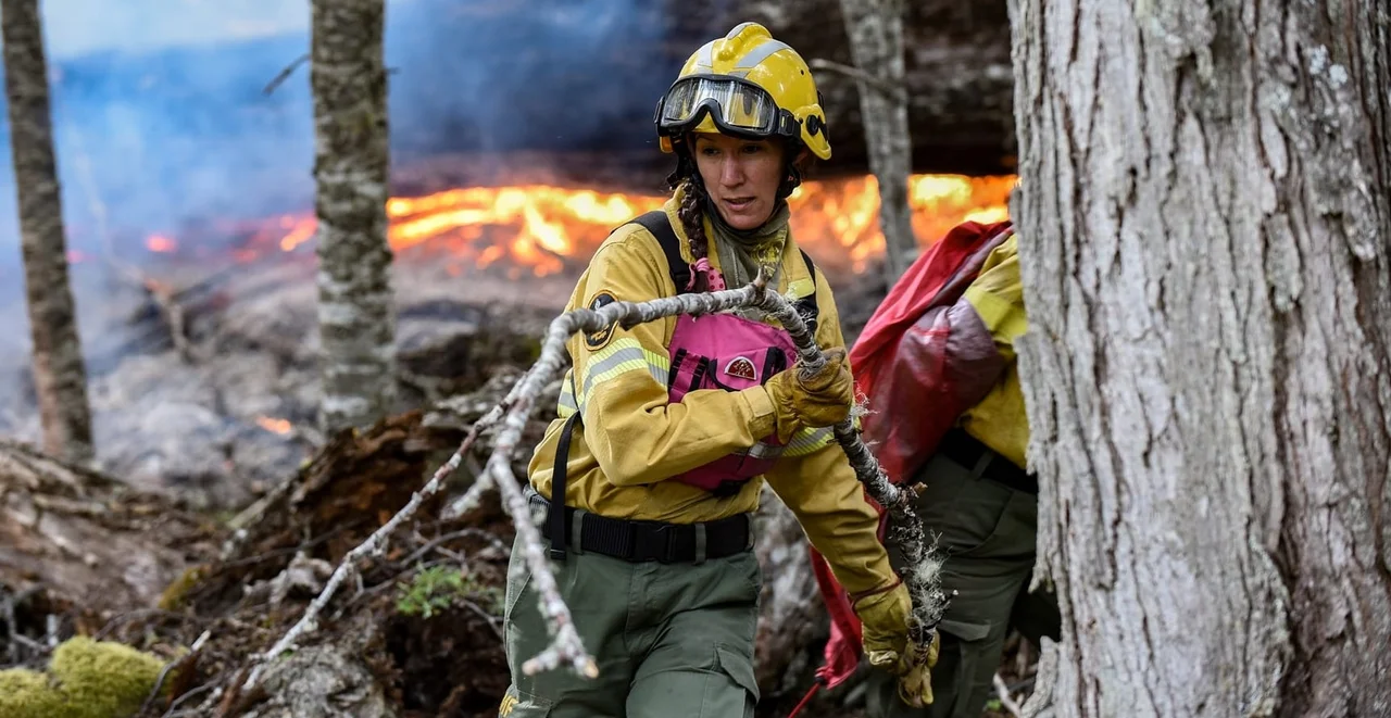 Incendio-forestal