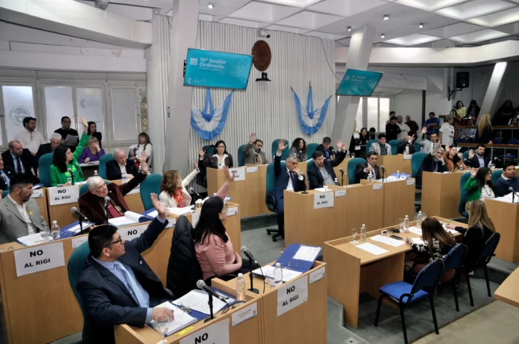 Diputados-RIGI-santa-cruz-1-728x483