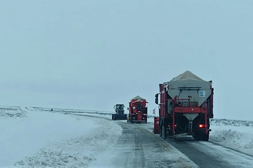 20240621224435_img_20240621_wa0068_1