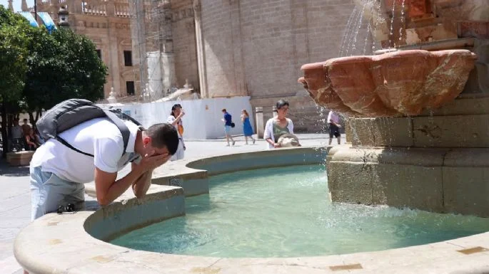 f685x385-825437_863130_3352