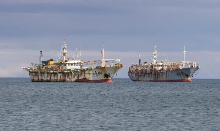 pesca malvinas
