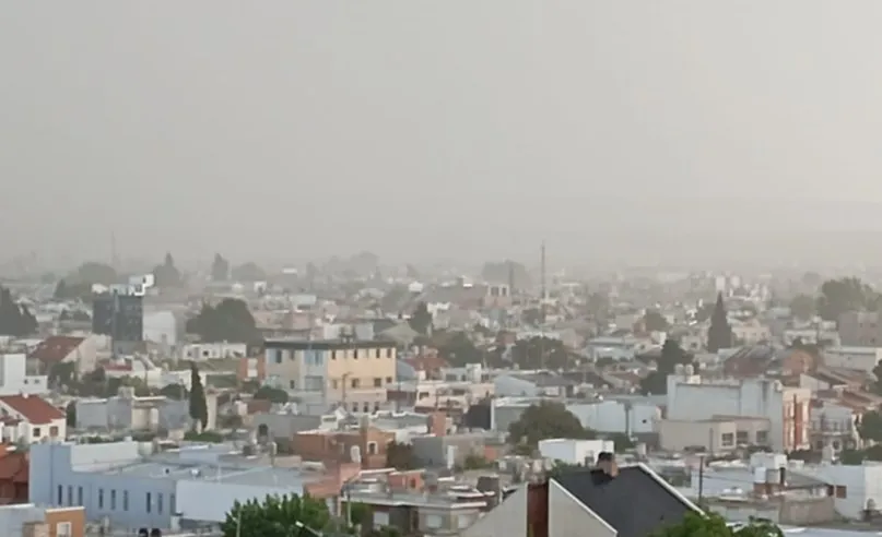 WhatsApp Image 2024-11-20 at 9.51.24 PM