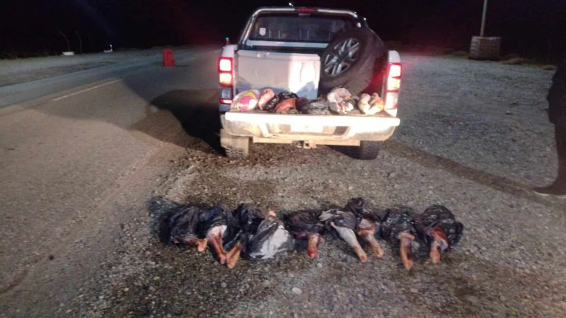 6600cd6801971_800_450!