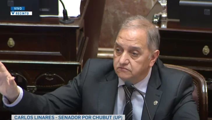 carlos-linares-senador-chubut-8943-728x412