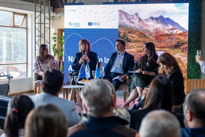 multimedia.normal.874257825db5dc2f.V2hhdHNBcHAtSW1hZ2UtMjAyNC0xMi0wNC1hdC0xMS5fbm9ybWFsLndlYnA=