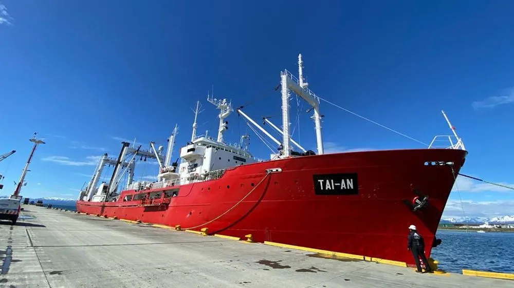 Tai-an-amarrado.jpg