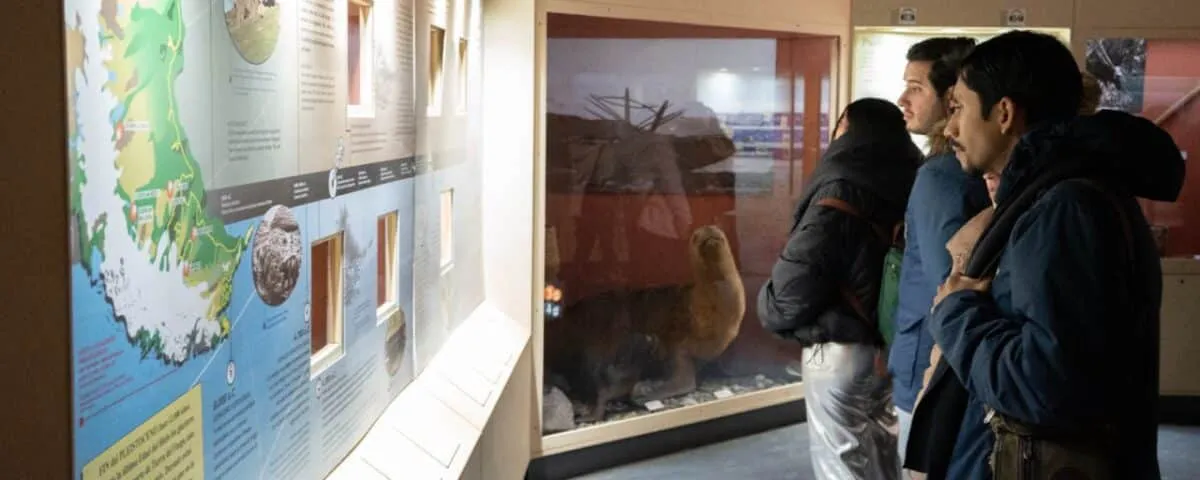 photo_2025-01-01_21-15-56-1200x480