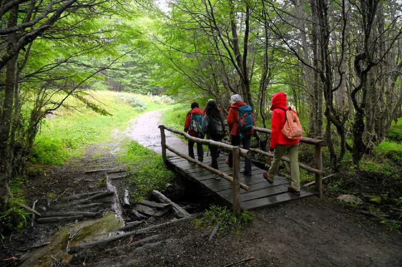 multimedia.normal.aa66edcbf1049dc7.ZTkzZjA4ZWYtOWE3Yi00NTFlLWFlMzgtYThkYjgyZjRfbm9ybWFsLndlYnA=