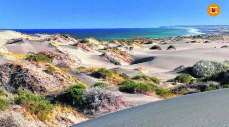 800x445_dunas