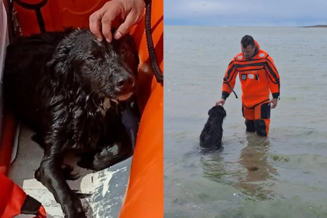 multimedia.normal.8dc535a9e4c886ba.bm9ybWFsLndlYnA=