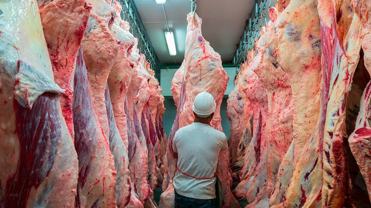 carne-brasil