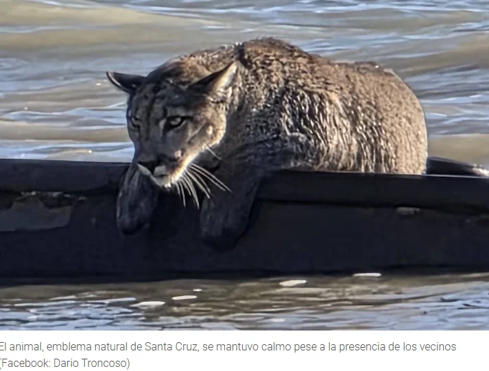 Captura de pantalla 2026-04-04 22.17.11