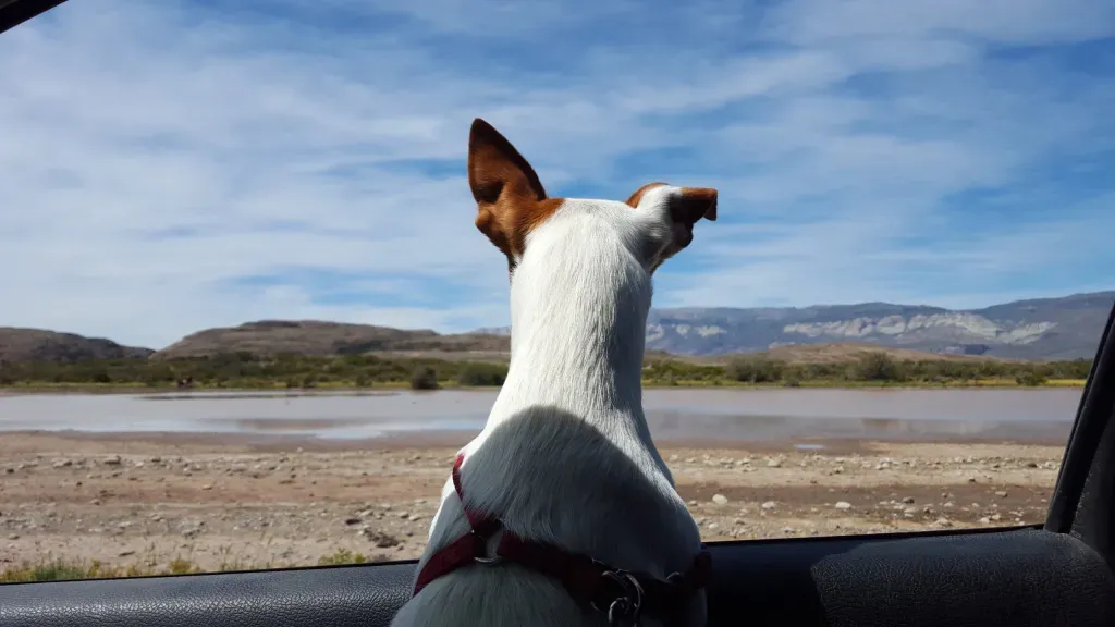 multimedia.normal.b08446ad4175272b.TWFzY290YXNfbm9ybWFsLndlYnA=