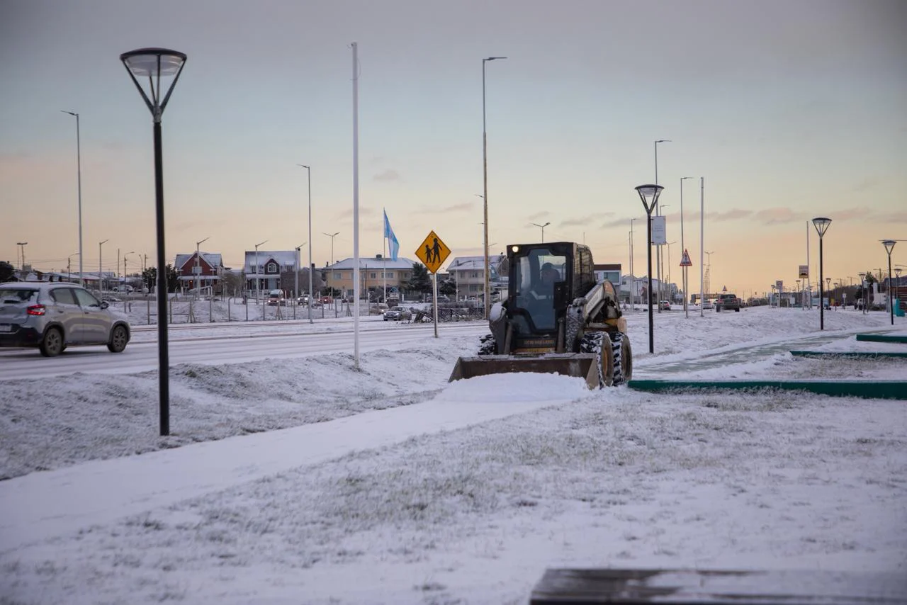 NIEVE RGD