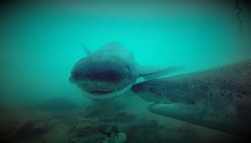 multimedia.normal.bf3e32419ddd061e.bm9ybWFsLndlYnA=