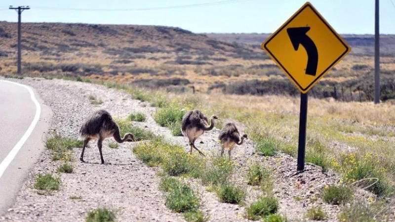 680d473870328_800_450!