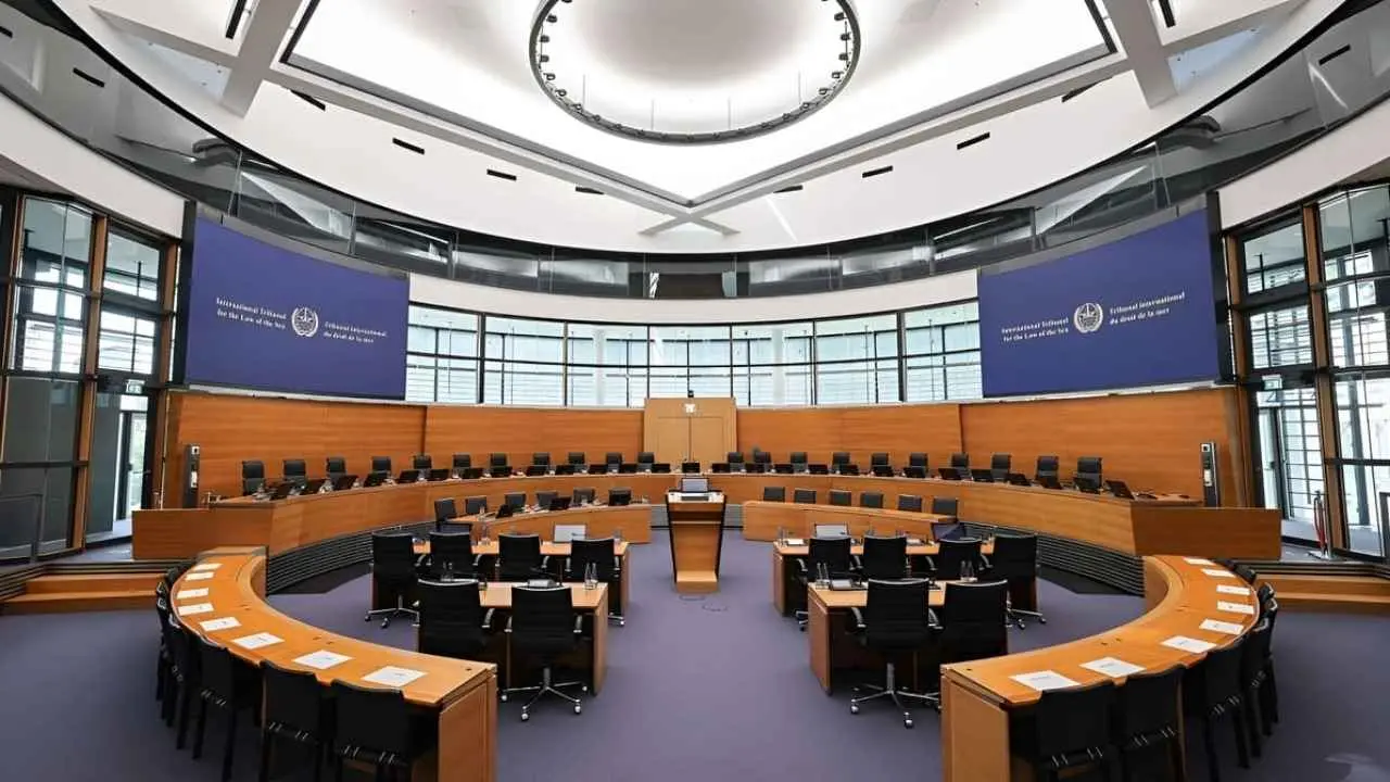 TRIBUNAL DEL MAR