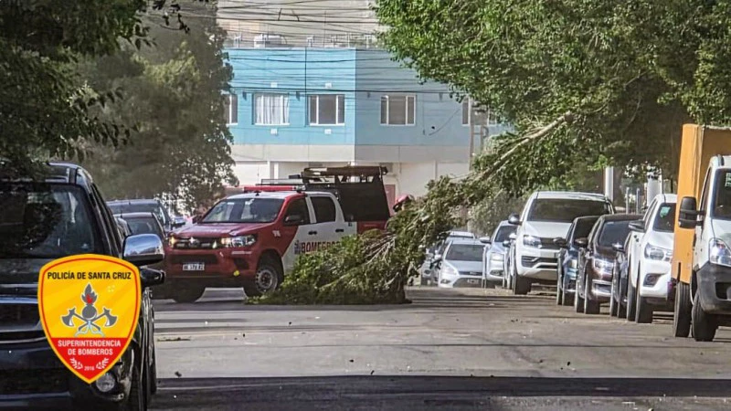 691b691313bb9_800_450!