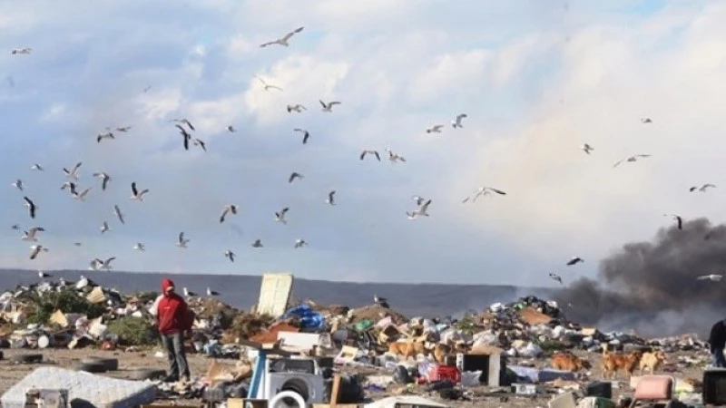 6910eecc9ea5f_800_450!