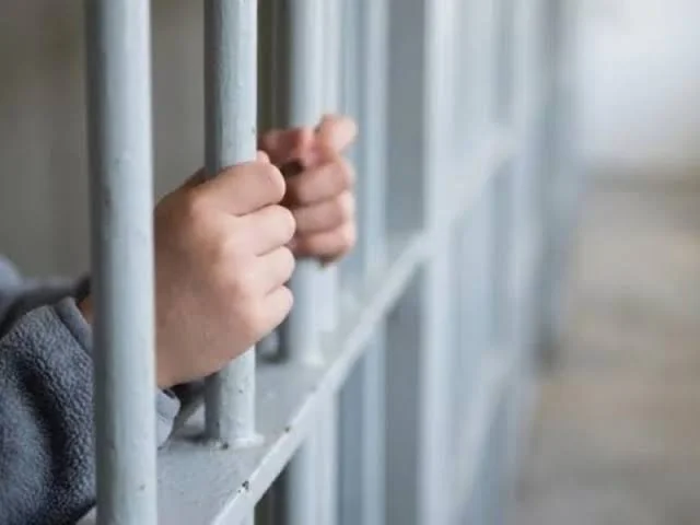 penal juvenil