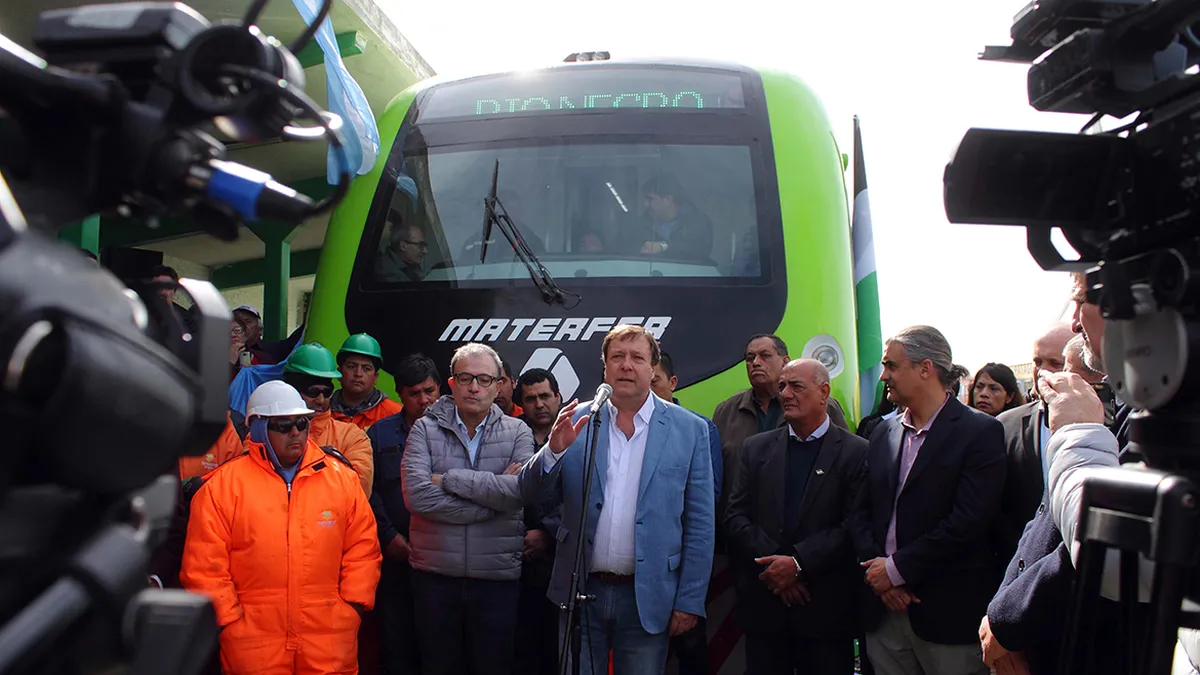 weretilneck-tren-patagonico