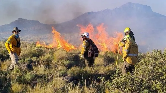 f685x385-868032_905725_5050