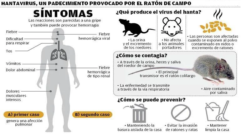 hantavirus