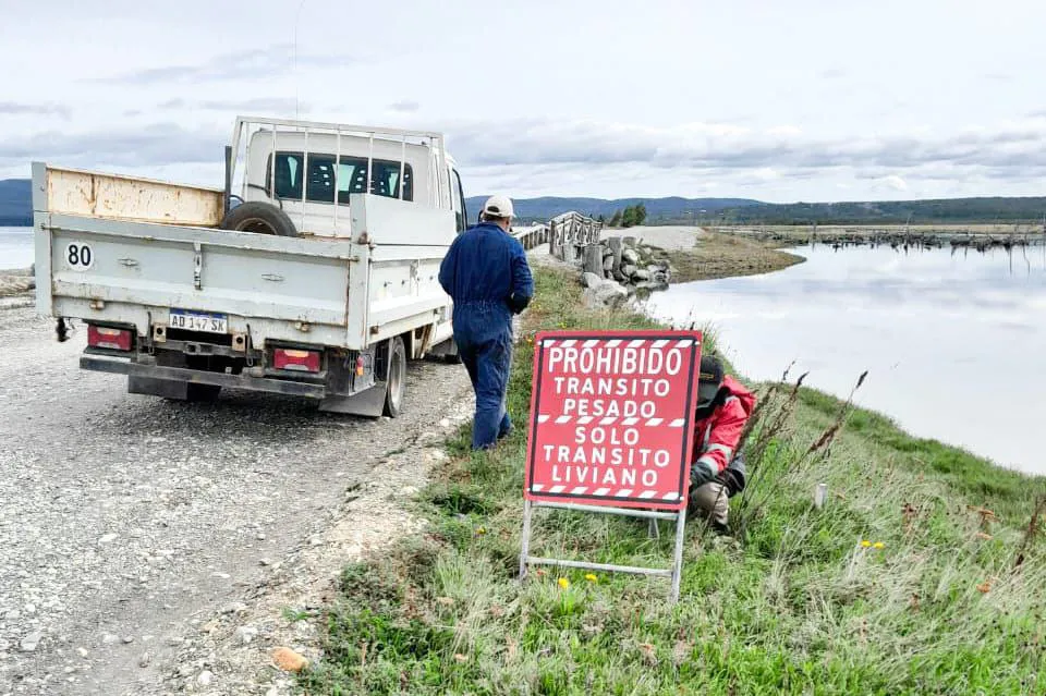 photo_4976490503671057239_y-1