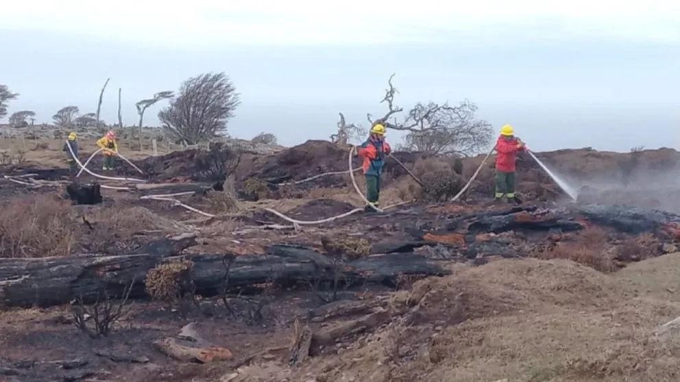 multimedia.normal.afc4c11ba6c874a6.bWQgLSAyMDI0LTA5LTMwVDIxMTgyOC4zNjlfbm9ybWFsLndlYnA=