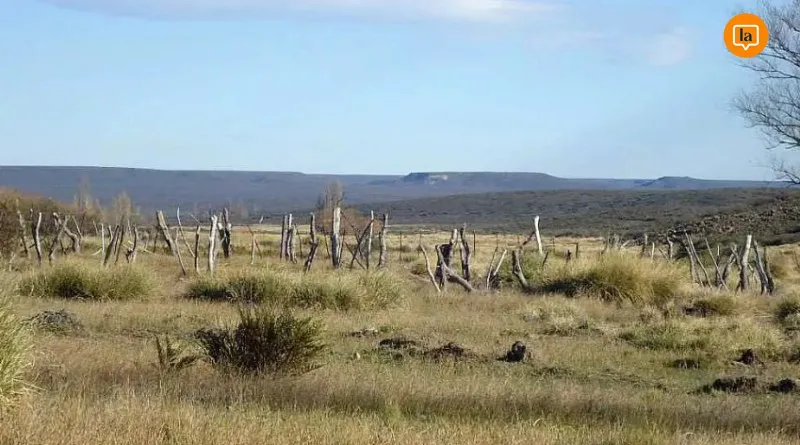 800x445_sur