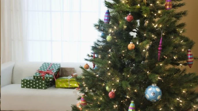 f685x385-735522_773215_5050