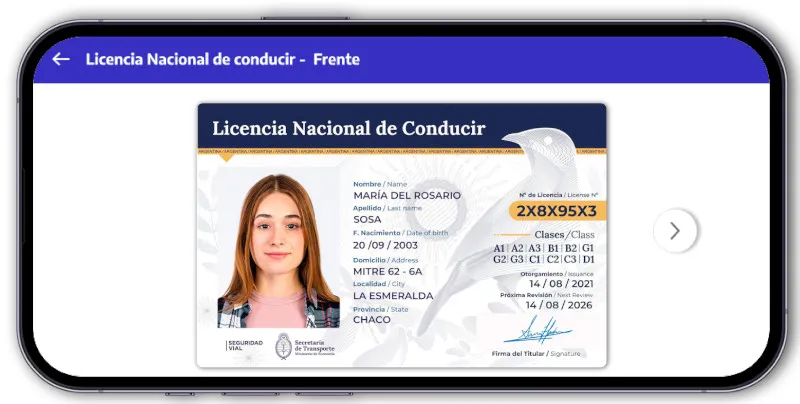 licencia_de_conducir_mesa_de_trabajo_1