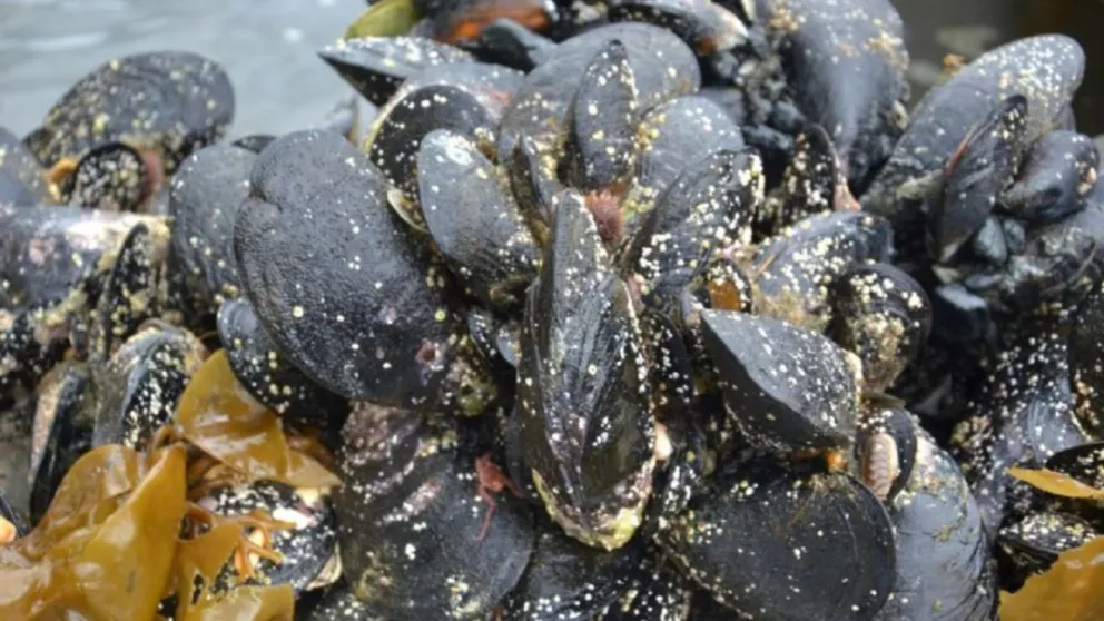 multimedia.normal.8d7bfd6da41993f8.bm9ybWFsLndlYnA=