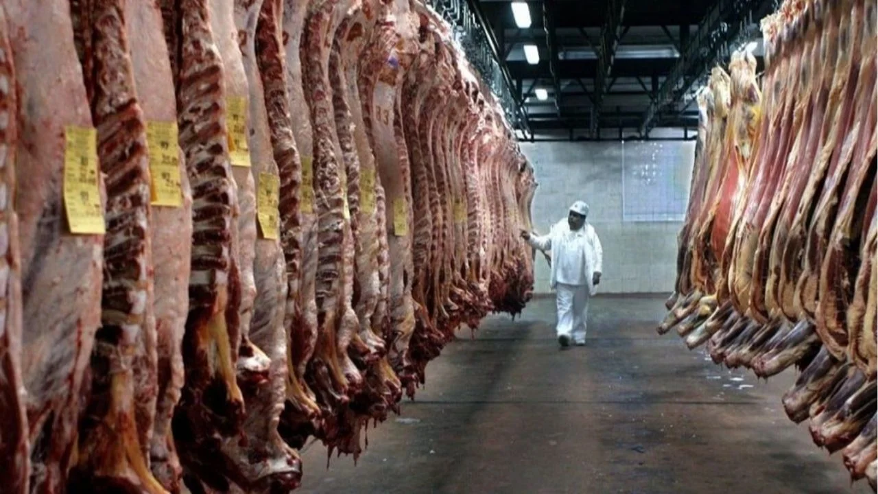carne