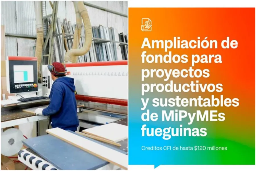 proyec