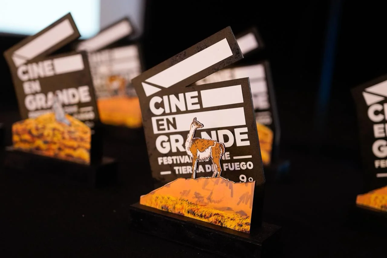 cine rgd plaquetas