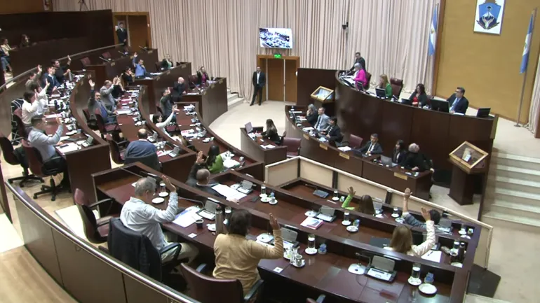 ley-presentismo-diputados-legislatura-neuquen-aprobado-110724