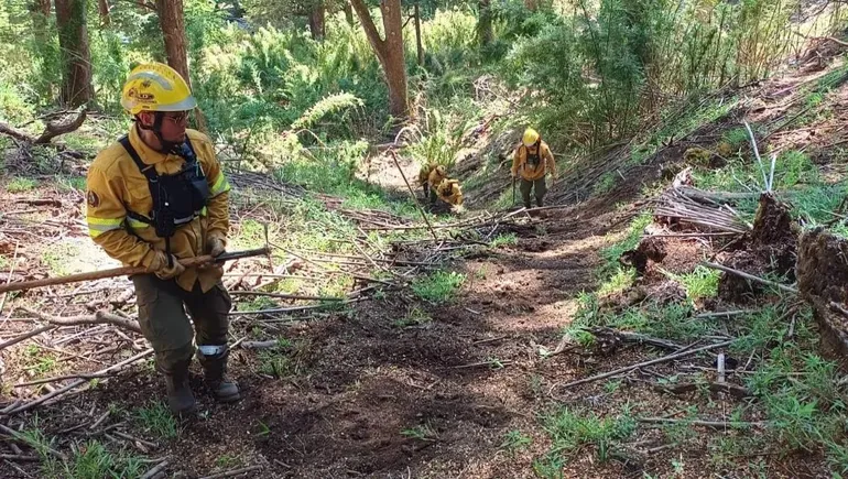 bomberos-splif-incendio-forestal