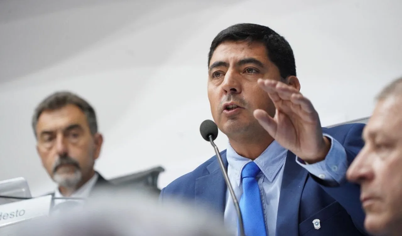 Noale-e1734522098647