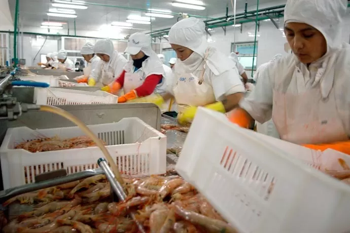 revista-puerto-procesamiento-de-langostino (1)