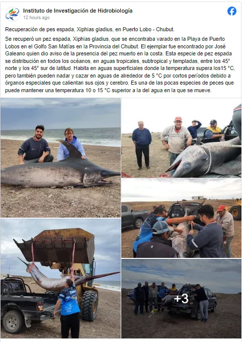 Captura de pantalla 2024-03-25 00.25.10