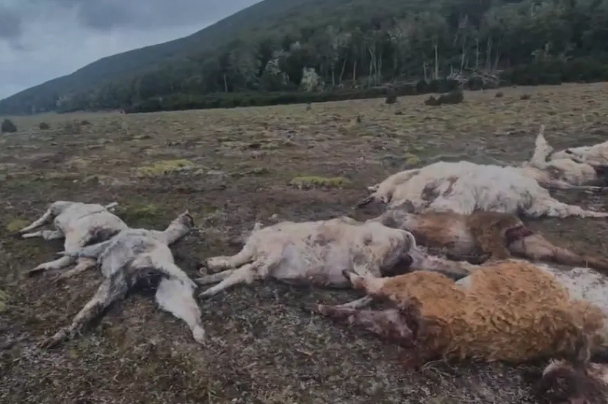 multimedia.normal.940a9c8cd6f1786c.bm9ybWFsLndlYnA=