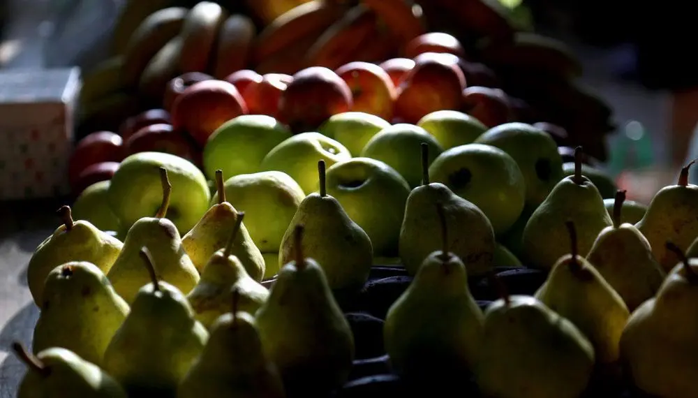 peras-manzanas (1)